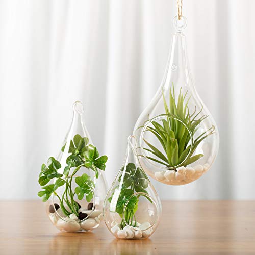 WGV Glass Hanging Plant Terrarium, Width 3.5", Height 7", Teardrop DIY Air Succulent Planter Clear Tea Light Votive Candle Holder, Wedding Event Office Home Outdoor Decor, 1 Piece - size: Teardrop M