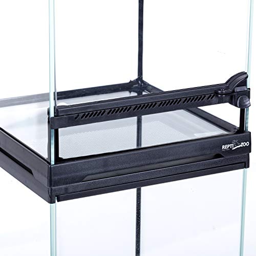 REPTIZOO Mini Reptile Glass Terrarium Tank 8"x8"x8", Front Opening Door Full View Visually Appealing Mini Reptile or Amphibians Glass Habitat - size: 8"x8"x8"