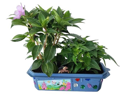 Grow Your Own Flower Princess Palace Terrarium Starter Kit - Blooming Jewelweed & Princess Flowers, Includes Pony, Royal Gems & Complete Supplies to Start Growing in a Week - style: Flower Princess Palace