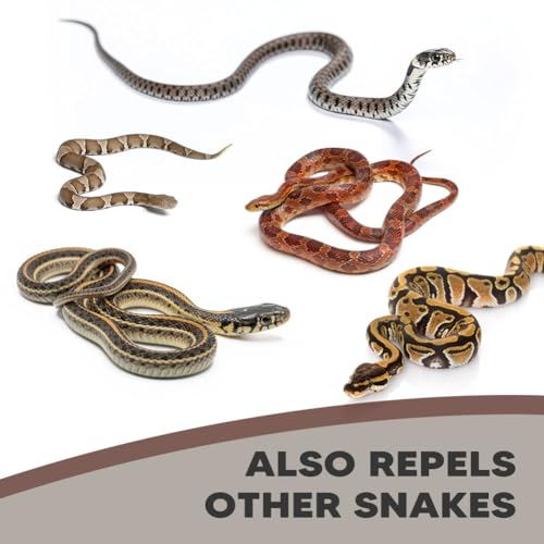 Snake Repellent for Yard, Snake Repellent Outdoor, Snake Away Repellent Outdoor, Snake Deterrent for Yard, Snake Deterrent Outdoor, Backyard Snake Repellent- 8 Packs - size: 1 Ounce (Pack of 8)