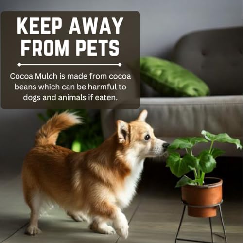 [4 Quarts] Cocoa Mulch for Plants, Garden, Flower Beds, Indoor & Outdoor Plants - Organic Cocoa Bean Shell Mulch | Moisture Retaining, Weed Preventing, Landscaping Mulch - size: 4 Quarts
