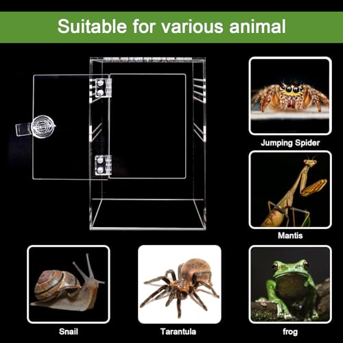 Spider Terrarium Kit, Jumping Spider Enclosure with Hideout, Rope Bridge, Ledge Ladder, Micro Habitat Terrarium for Small Tree Dwelling Reptiles, Arboreal Tarantula Enclosure (6x6x9 Inches) - size: 6x6x9 Inches