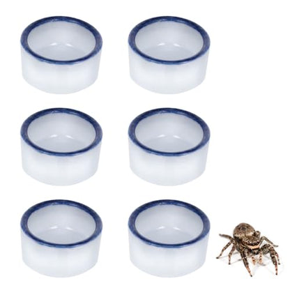 6 Pcs Spider Mini Water Bowl Tarantula Micro Ceramic Water Dish for Spider Tarantula Millipede Tiny Reptile Scorpion Cricket Snail Manti Bugs