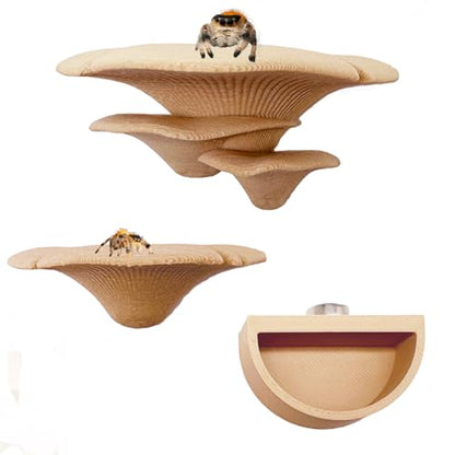 2 Pack Jumping Spider Accessories Mushroom Ledges & 1 Pack Water Bowl with Magnets for Spoods Jumping Spiders Magnetic Ledge Ladder Pet Spider Accessories (Not Included The Terrarium) (beige) - color: beige