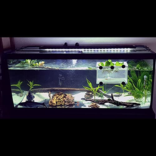 Large Breeder Net for Fish Tank Fish Hatchery Separation Net Mesh Fish Breeding Box with Suction Cup for Aquarium