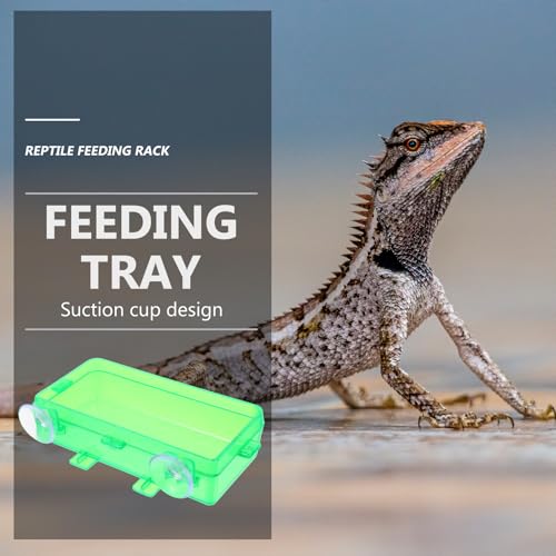 Toddmomy Escape-Proof Reptile Feeding Box and Reusable Lizard Food Dish, Small Green Reptile Water Bowl for Geckos, Bearded Dragons, and Lizards, 2pcs Set for Terrarium Use