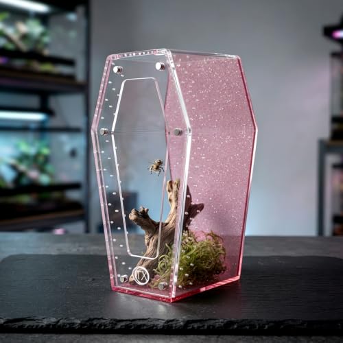 Glitter Acrylic Coffin Jumping Spider Enclosure - Gothic Terrarium Habitat with Magnetic Lid, Micro Reptile Breeding Box for Slings, Mantis, Isopods and Small Insects (Glitter Pink) - color: Glitter Pink