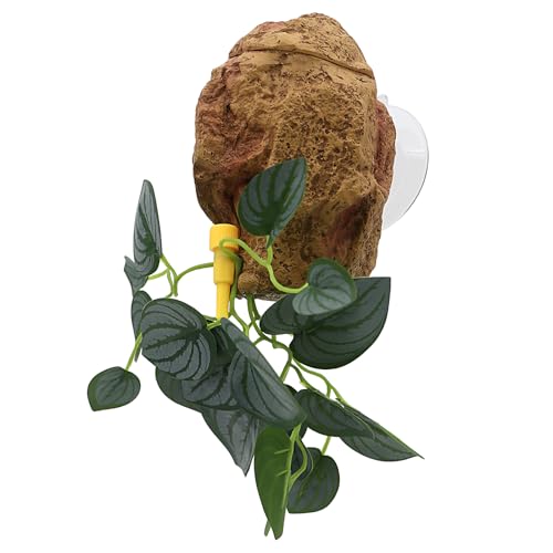 AQUA KT Reptile Water Dripper Feeder Adjustable Wall Mounted for Terrarium | Auto Water Feeder with Suction Cup Dripper System for Lizard Snake Bearded Dragon Feeding Smooth Terrarium Rock Decoration