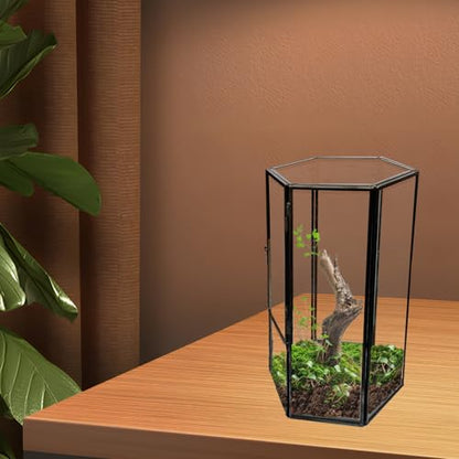 Jumping Spider Accessories, Glass Front Opening Terrarium with Metal Frame and Vent Holes, Insect Habitat Enclosure for Jumping Spiders, Black Widows, Praying Mantis