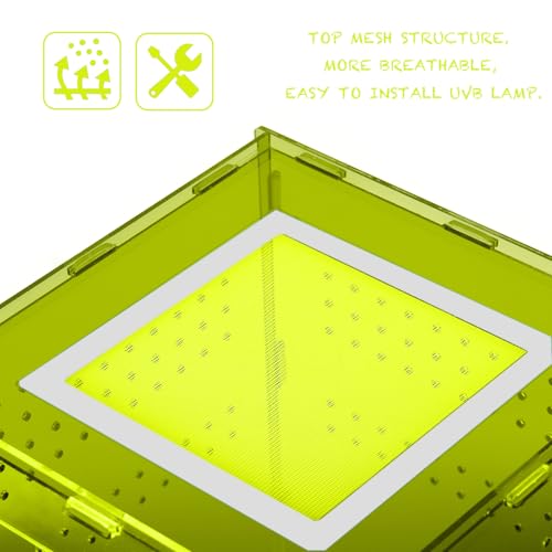 8x8x12 Light Green Acrylic Terrarium Vertical for Spider Reptile | Vertical light green acrylic terrarium 8x8x12, waterproof sealed body, secure anti-escape, suits Reptile spider small lizard - color: LightGreen