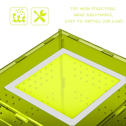 8x8x12 Light Green Acrylic Terrarium Vertical for Spider Reptile | Vertical light green acrylic terrarium 8x8x12, waterproof sealed body, secure anti-escape, suits Reptile spider small lizard - color: LightGreen