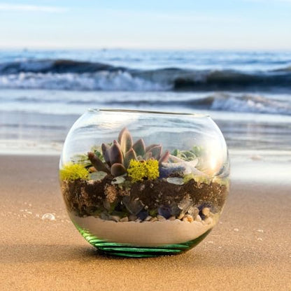 SuperMoss (90420) Beach Terrarium DIY Kit – Create Stunning Nature-Inspired Mini Gardens – Perfect for Home Decor, Office Gifts, and Plant Lovers, Appx 8 Oz