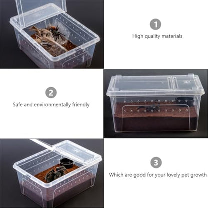 HOMSFOU Acrylic Reptile Feeding Box for Small Pets with High Surface Hardness and Safe Design, Climbing Pet Container Suitable for Living Foods and Transporting Animals Random Color