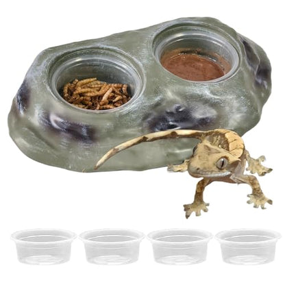 Tfwadmx Magnetic Reptile Feeder Ledge, Gecko Feeder Ledge with 4 Cups Reptile Feeding Bowl Terrarium Accessories for Geckos Lizards Chameleons Frog (White) - color: White