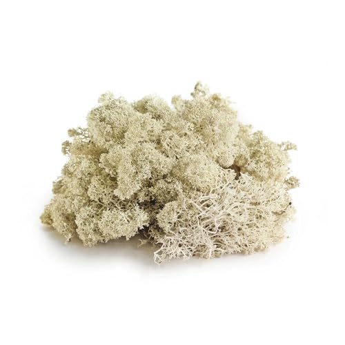Galápagos (05350) Humid Environment Terrarium Kit – Essential Moss Accessories for Dart Frogs, Iguanas, Chameleons & Reptile Tanks