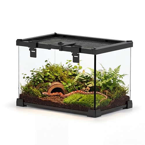 12"x8"x8" Reptile Terrarium, Escape-Proof Glass Terrestrial Vivarium for Hatchling Snakes Such as Corn Snakes, with Escape-Proof Lock & Feeding Hatch - size: 12"D x 8"W x 8"H