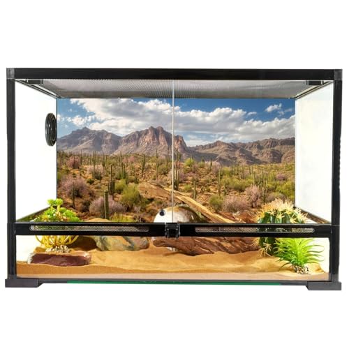 AWERT 48x24 inches Reptile Habitat Background Blue Sky White Clouds Mountains Oasis Cactus Plants Terrarium Background Natural Landscape Durable Polyester Backdrop - size: 48x24in/120x60cm