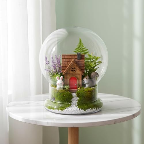 2 Pack Round Glass Cloche Domes with Air Hole and Base, 4.6 X 6.6 Inches Clear Terrarium Planter, Cloche Planters, Terrarium Bell Jar, Humidity Dome for Plants, Borosilicate Glass