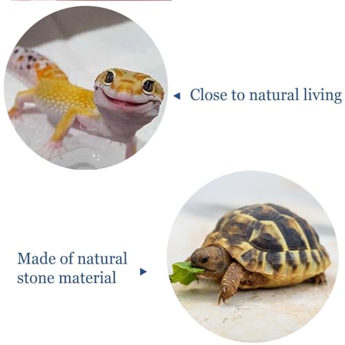 Reptile Basking Platform Rock Tortoise Habitat Accessories Slate Rocks for Reptiles Food Dish Feeding Bowl for Crested Gecko Snake Frog Lizard