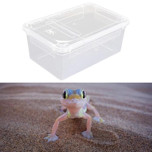 Reptile Feeding Box,Transparent Terrarium Habitat Cage Breeding Box Hatching Container for Gecko Animal Cricket Lizard, Style C - size: Style C