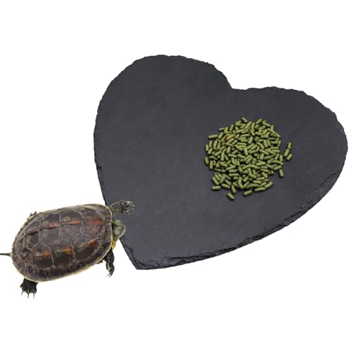 Reptile Basking Platform, 12 × 12 inch Tortoise Rock Plate, Heart Shape Natural Rock Reptile Food Dish, Turtle Feeding Bowl, Habitat Decor for Bearded Dragon Chameleon Frog Lizard Gecko Hermit Crab - size: L - 12 × 12 inch