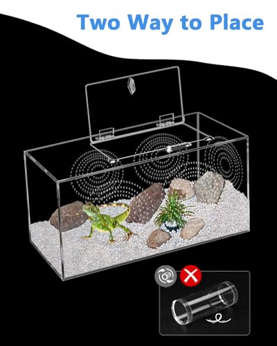 Jumping Spider Enclosure - 11.7x6x6 Inch Large Acrylic Terrarium for Tarantulas - Reptile Tank With Front Opening Door - Habitat Accessories