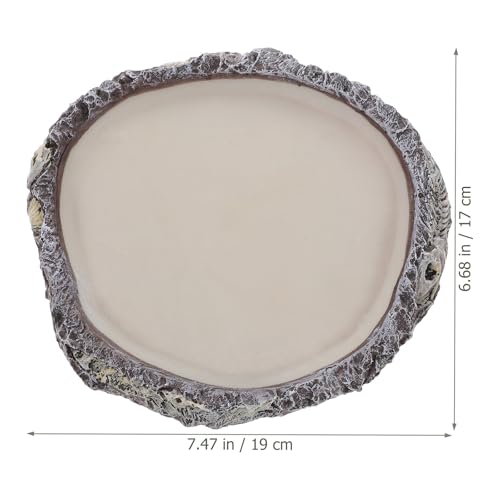 BESPORTBLE Reptile Water Bowl and Food Dish Resin Basin Shallow Pet Water Feeder for Turtles Lizards Snakes Bearded Dragons Terrarium Supplies