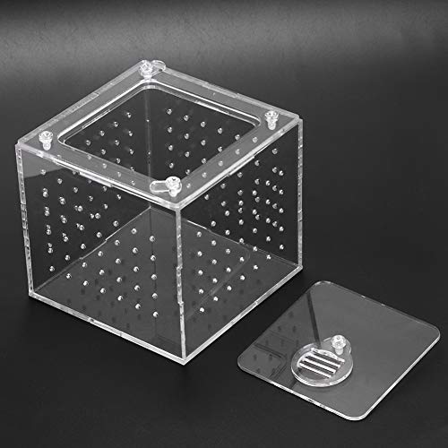 Reptile Breeding Box Acrylic Terrarium Transparent Durable Enclosure with Ventilation Holes Feeding Hole Safety Lock Cover for Snakes Spiders Lizards Insects Small Pets 10x10x9cm