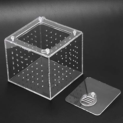 Reptile Breeding Box Acrylic Terrarium Transparent Durable Enclosure with Ventilation Holes Feeding Hole Safety Lock Cover for Snakes Spiders Lizards Insects Small Pets 10x10x9cm