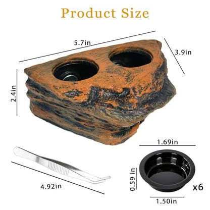 Tfwadmx Magnetic Reptile Feeder Ledge, Gecko Feeder Ledge with 6 Cups Reptile Feeding Bowls Food Dish Water Bowl Tank Accessories for Lizards Chameleons Frog(Blown) - color: Brown