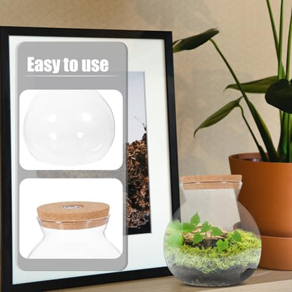 Glass Terrarium Jar with Led Light, Closed Terrarium Jar with Lid for Moss | Ideal for Succulents And Betta Fish Tank, Clear Round Desk Plant Container Ecosystem for Home & Office Decor (no Plants) - size: 16.00X15.00X15.00CM
