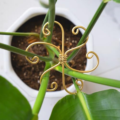 5PCS Plant Stem Support-4.1 * 4.1IN Gold Metal Stem Stabilizers | Durable Iron Grapple Holder for Monstera & Climbing Plants,Unique Design for Optimal Growth,Leaf Stabilization and Support - size: 4.1*4.1IN