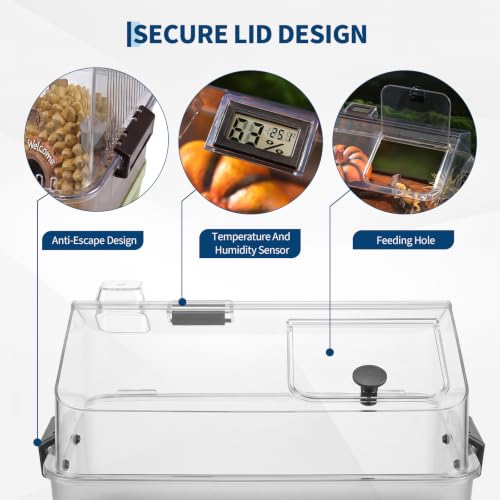 7pcs Reptiles Terrarium Kit with Lid, Heating Pad, Sand Substrate, Hide for Hermit Crab, Bearded Dragon