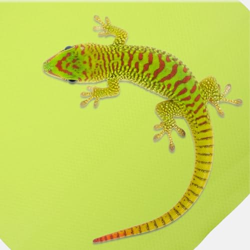 Ipetboom Crawling Blanket Reptile Carpet Reptile Substrate Mat Reptile Supplies Leopard Print Bedding Gecko Bedding Mat Bearded Dragon Accessories Snake Cage Accessories Reptile Cage Carpet - color: Light Green