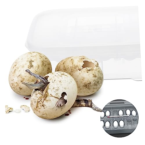 KESYOO Reptile Hatching Incubator Box Transparent Hatchery for Geckos Snakes Lizards Lightweight Breeding Container Durable Egg Tray for Reptile Eggs