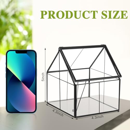 2 Pcs Mini Glass Terrarium Planter with Lid 5 x 4.3 x 4.3'' Small Greenhouse Terrarium Jar Glass Container Pot Tabletop Succulent Small Cacti Air Plant Planter for Indoor Home Garden Office Decor