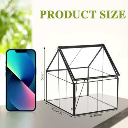 2 Pcs Mini Glass Terrarium Planter with Lid 5 x 4.3 x 4.3'' Small Greenhouse Terrarium Jar Glass Container Pot Tabletop Succulent Small Cacti Air Plant Planter for Indoor Home Garden Office Decor