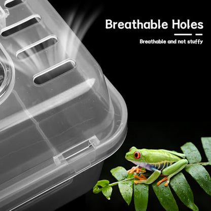 2 Pack Clear Portable Insect Reptile Terrarium Box with Handle Transparent Travel Case for Spider Snail Turtle Hermit Crab Gecko Insects Small Reptiles Amphibians