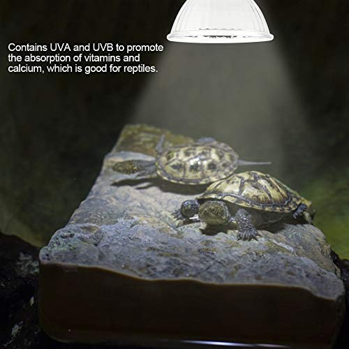 Fydun Uva Uvb Full, Lamp Sunbathe Lizard Warmness Bulb 25W Pet Heating Lamp Light Bulb Reptile Full Spectrum Sun Spectrum Solar Reptile Heating Mild (25W)
