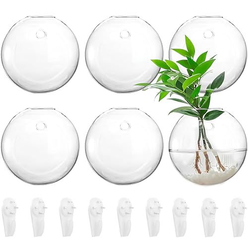 6 Pack Wall Hanging Planters Terrarium, 4.7 Inch Glass Oblate Globe Plants Containers, Wall Mount Clear Flower Vase for Propagating Hydroponics Plants, Air Plants (Plants Not Included)