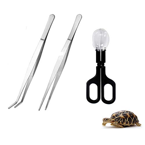 10.6 inch Reptile Feeding Tongs, 3 Pcs Tweezers Cricket Clamp Bug Scooper, Stainless Steel Straight and Curved Tweezers Set for Insects Lizard Turtle Snake Spider Frog Gecko Chameleon - size: 10.6 inch