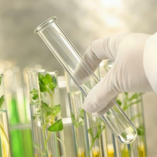4Pcs Hydroponic Glass Test Tube Vases for Flower Propagation Small Plant Terrarium Holders Space-Saving 5.90X1.18X1.18In Home Office Decoration