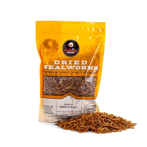 Fluker's Culinary Coop Premium Chicken Treats, Mealworms 10 oz, High Protein Worm, Nutritious Treat - size: 10 Ounce (Pack of 1)