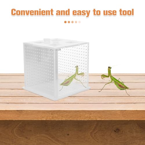 DECHOUS Reptile Feeding Box and Breeding Habitat Container Acrylic Pet Enclosure Suitable for Mantises, Stick Insects, Spiders, and Small Reptiles