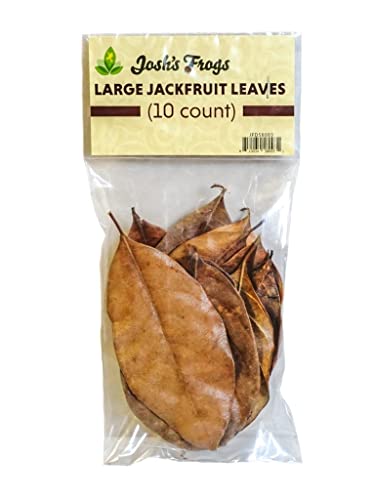 Josh's Frogs Large Jackfruit Leaf Litter, 10 Count | Aquarium & Terrarium Decoration, Pet Enclosure, 0.009kg