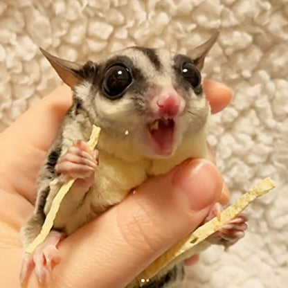Exotic Nutrition Omega YUMS Fish Stick Treat for Sugar Gliders | All Natural & Made with Real Fish (2 oz) - size: 2 Ounce (Pack of 1)