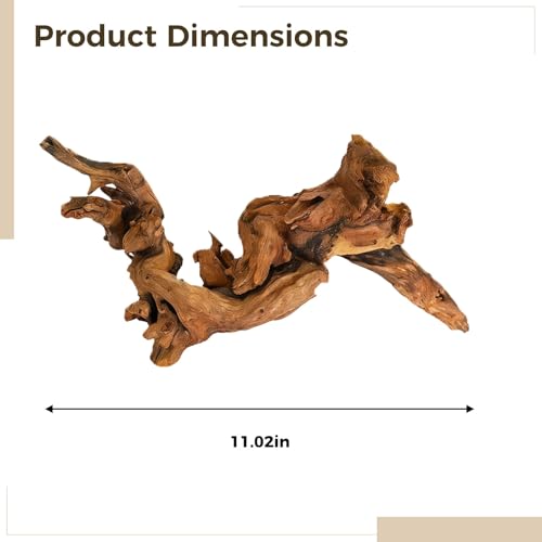 Natural Driftwood for Aquarium 3 Pcs, Assorted Shape Azalea Root Wood, 7.9-9.8 in / 20-25 Cm, Freshwater Aquarium Driftwood, Terrarium Décor