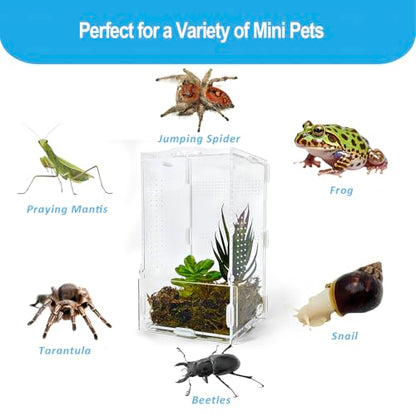 Jumping Spider Enclosure, Arboreal Tarantula Enclosure, Praying Mantis Terrarium Critter Cage for Jumping Spider, Tarantula Slings, Snail, Isopods, Beetles, Millipedes, Springtails - size: Small