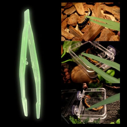 Glow Feeder Tweezers – Long Reptile Feeding Tool, Comfortable Grip, Sturdy Anti-Skid Construction, Precise Tip, Easy to Clean | Pet Feeding Accessory with Snake Lizard Tortoise Spider Frog Handling Fu