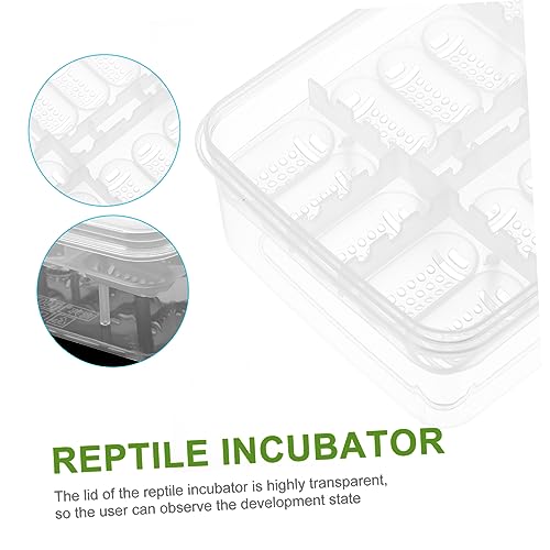 GANAZONO 2Pcs Compartment Reptile Egg Incubator Tray Professional Hatchery Box for Tortoise Lizard Transparent Design for Easy Observation Pet Supply